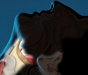 Clínica Otorrinolaringológica del Dr. Bernardino Cano diagrama mostrando faringe y oído